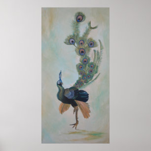 Proud As A Peacock Colorful Courtship Display Poster