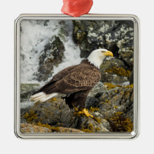 Proud Bald Eagle Metal Ornament