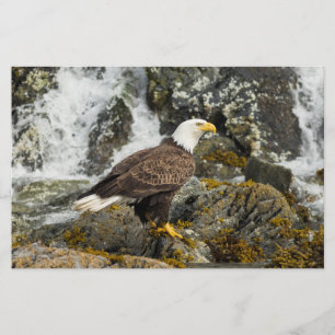 Proud Bald Eagle Stationery