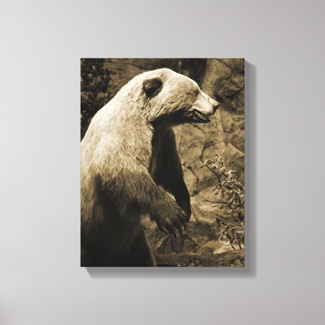 Proud Bear Canvas Print (Front)