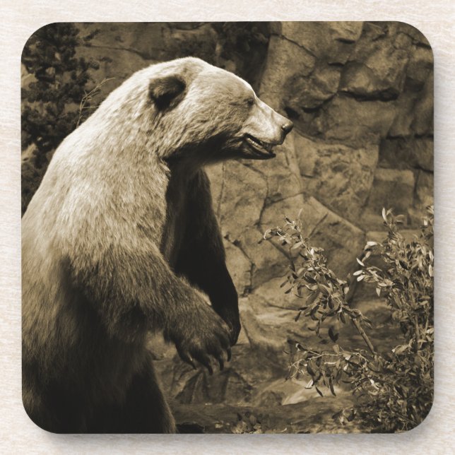 Proud Bear Coaster (Front)