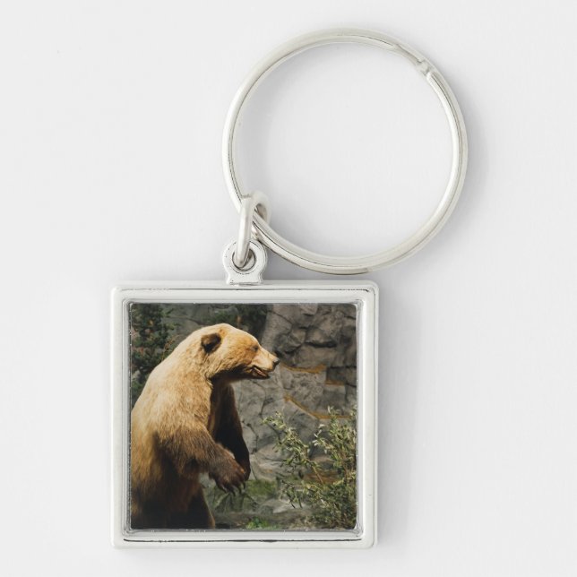 Proud Bear Keychain (Front)
