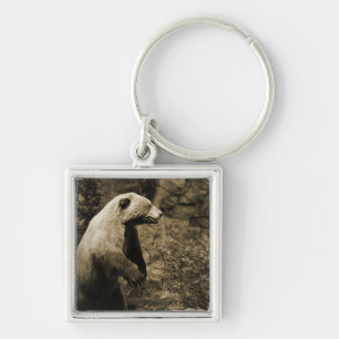 Proud Bear Keychain