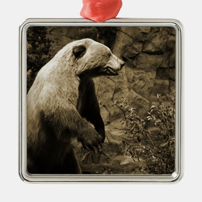 Proud Bear Metal Ornament (Front)