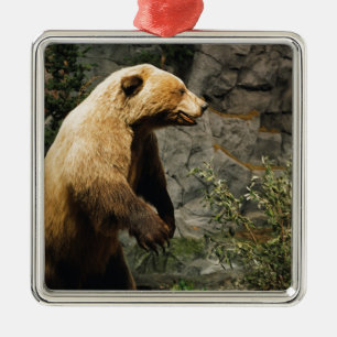 Proud Bear Metal Ornament