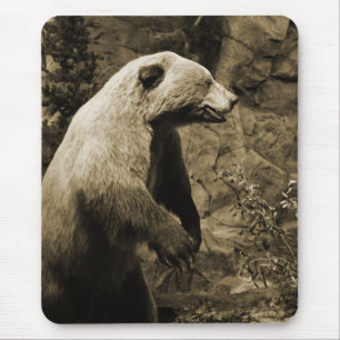Proud Bear Mouse Pad