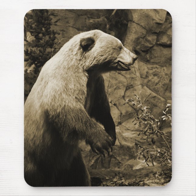 Proud Bear Mouse Pad (Front)