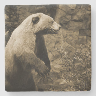 Proud Bear Stone Coaster