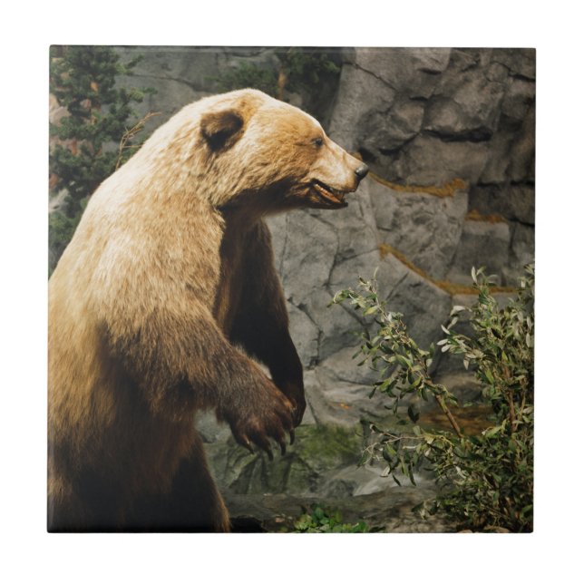 Proud Bear Tile (Front)