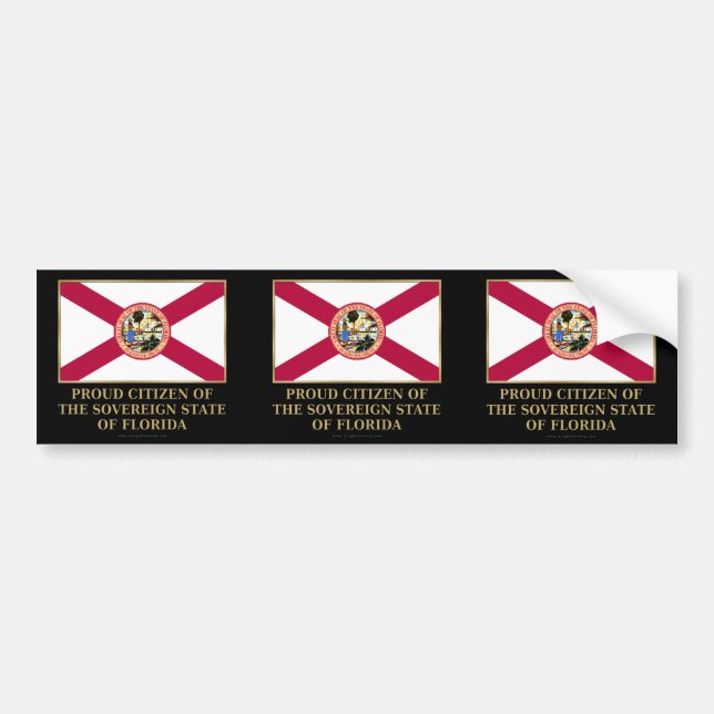 Proud Citizen of  Florida Bumper Sticker (Front)
