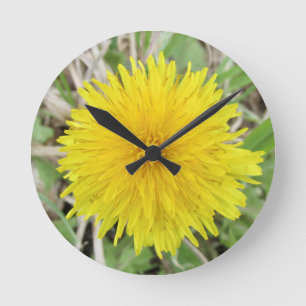 Proud Dandelion Flower. Round Clock