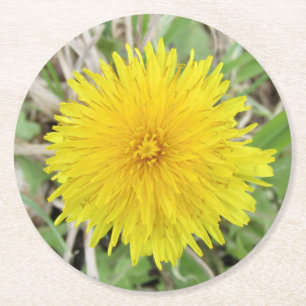 Proud Dandelion Flower. Round Paper Coaster