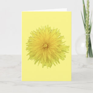 Proud Dandelion Flower - transparent. Card