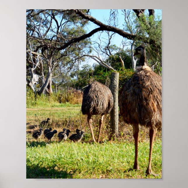 Proud Emu Parents, Poster (Front)