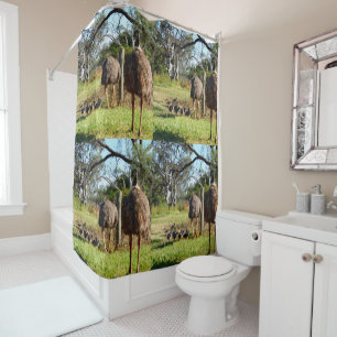 Proud Emu Parents With Chicks,