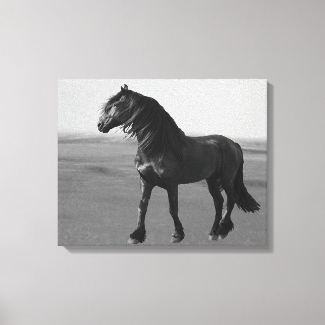 Proud Friesian black stallion Canvas Print (Front)