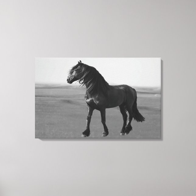 Proud Friesian black stallion Canvas Print (Front)
