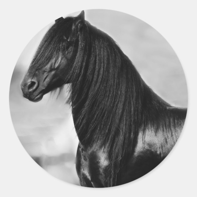 Proud Friesian black stallion horse Classic Round Sticker (Front)