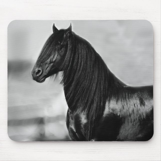 Proud Friesian black stallion horse Mouse Pad (Front)