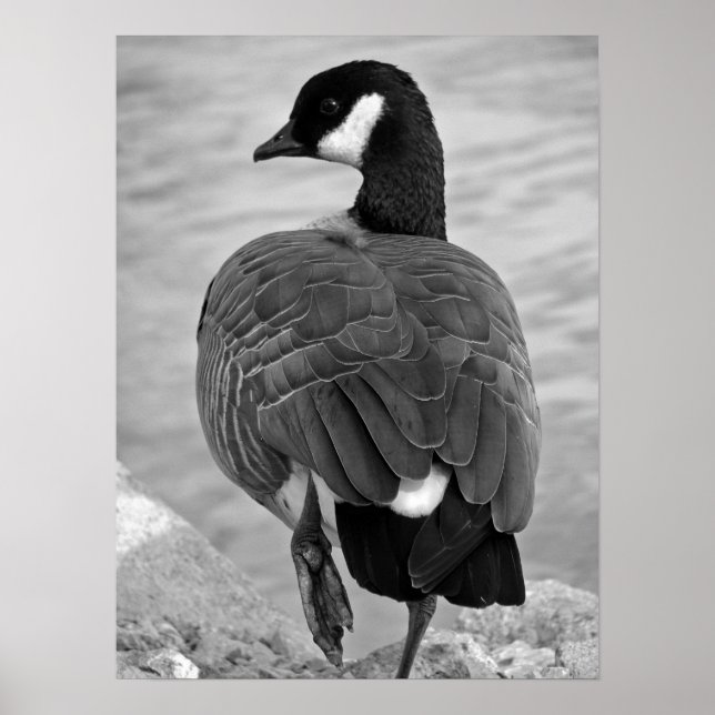 Proud Goose Poster (Front)