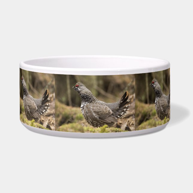 Proud Grouse (Front)
