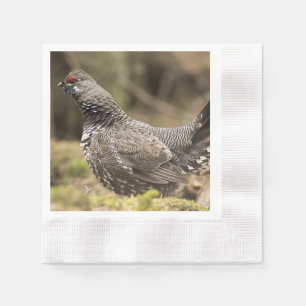 Proud Grouse Napkin