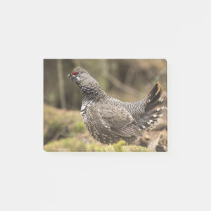 Proud Grouse Post-it Notes