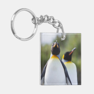 Proud King penguins photo Keychain