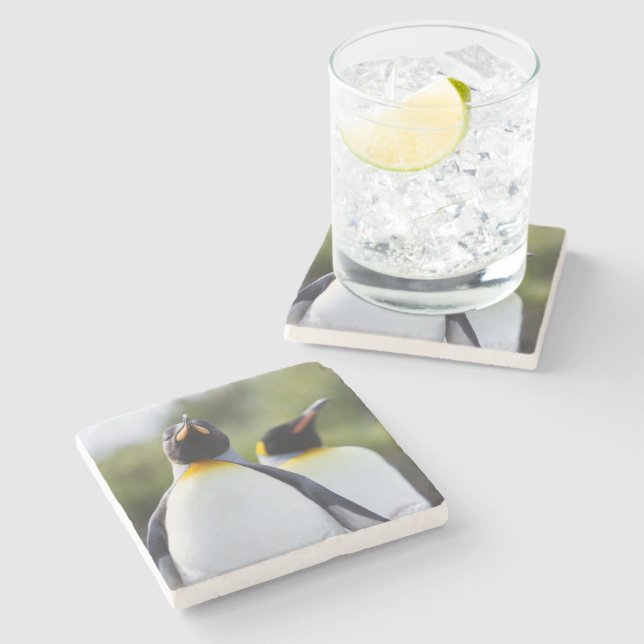 Proud King penguins photo Stone Coaster (Side)