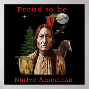 proud native american poster