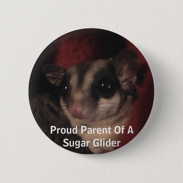 Proud Parent Of A Sugar Glider 2 Inch Round Button (Front)