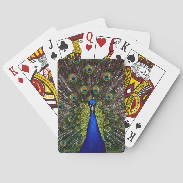 Proud Peacock playing cards (Back)