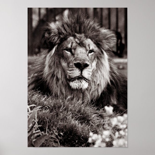 Proud Poster (Front)