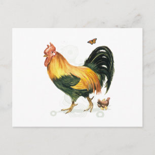 Proud Rooster with hen and chickens. Postcard