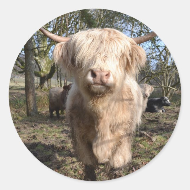 Proud to be Scottish Classic Round Sticker (Front)