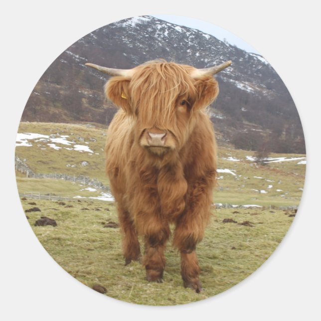 Proud to be Scottish! Classic Round Sticker (Front)