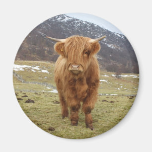 Proud to be Scottish! Magnet