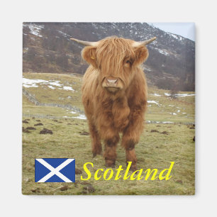 Proud to be Scottish! Magnet