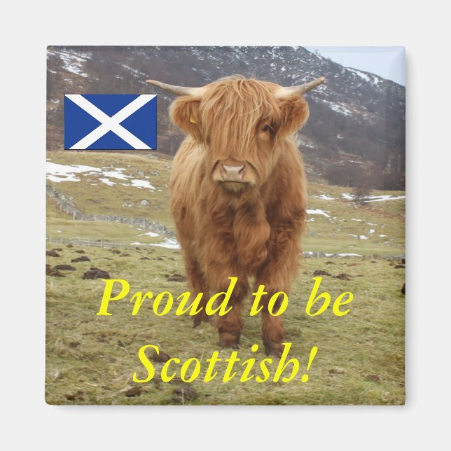 Proud to be Scottish! Magnet (Front)