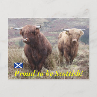 Proud to be Scottish! Postcard