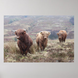 Proud To Be Scottish! Poster
