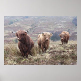 Proud To Be Scottish! Poster