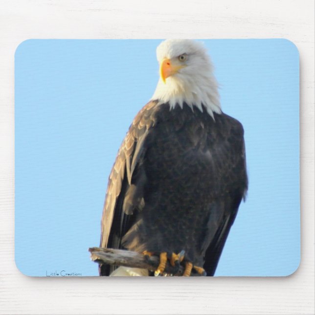 Proudly Perched Mouse Pad (Front)