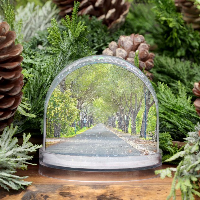 Provence France, Canopy of Trees Over Road Snowglobe (Winter)