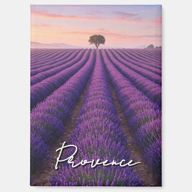 Provence France Lavender Fields  Magnet (Front)