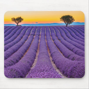 Provence, France Mouse Pad