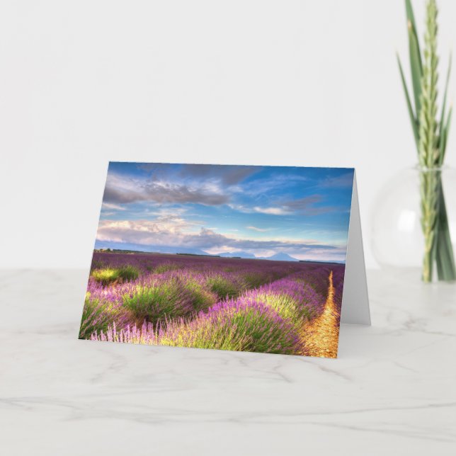 Provence - Lavender fields greeting card (Front)