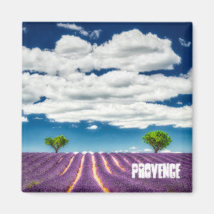 Provence magnet, Valensole lavender Magnet