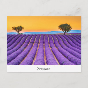 Provence Postcard