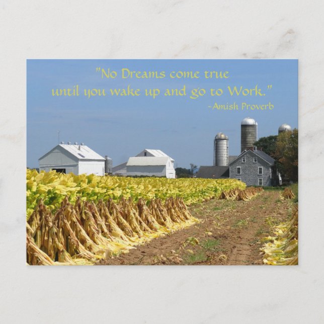 Proverbe Amish. Rêves. Carte postale Lancaster Lit (Devant)